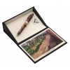 Ручка роллер Visconti Van Gogh 2014 Pollard Willows (78445) коричневый сталь