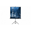 Экран на треноге Lumien 153x153см Master View LMV-100102 1:1 настенно-потолочный рулонный черный (ДУБЛЬ ИСПОЛЬЗОВАТЬ 585807)