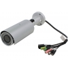 TRENDnet <TV-IP343PI> Outdoor 2MP PoE Day/Night Network Camera (LAN, 1920 x 1080, f=3-10.5mm,  microSD, 35 LED)