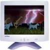 17" MONITOR 0.21 MAG 770PF