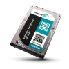 Жесткий диск SAS 2.5" 1.2TB 10000RPM 64MB ST1200MM0007 Seagate