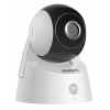 Видеокамера IP Hikvision DS-N291W цветная (DS-N291W (4 MM))