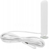 Антенна Huawei SL10653M TS9 3м двухдиапазонная (SL10653M)