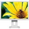 Монитор HP 24" EliteDisplay E242e белый IPS LED 16:10 HDMI матовая HAS Pivot 250cd 178гр/178гр 1920x1200 D-Sub DisplayPort FHD USB 6.23кг (N3C01AA)