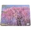 Коврик Defender Silk Pad Nature 230x190x1.6 мм, шелковый, ассорти 10 видов