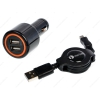 АЗУ mini USB InterStep (2А, 2xUSB, Черный)
