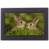 Фоторамка DEXP 10" MP-100 [1024x600, SD/SDHC/MMC/MS, USB/Mini USB, JPG/BMP/GIF/AVI/MPEG-4/3GP, ПДУ]