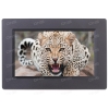 Фоторамка DEXP 7" SP-70 [800x480, SD/SDHC/MMC/MS, USB, JPG]