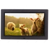 Фоторамка DEXP 9" MP-80 [800x480, SD/SDHC/MMC/MS, USB/Mini USB, JPG/BMP/AVI/MPEG-4/3GP, ПДУ]