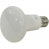 X-Flash <XF-E27-R80-P-10W-4000K-220V> (E27, 850 люмен, 4000К, 10Вт,  220В,  100г)  <44979>