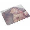 Коврик DEXP OM-XS Happy cat 220x180х3mm