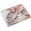 Коврик DEXP OM-XS Kitten 220x180х3mm