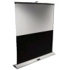 Экран напольный SONY VPS-HU70W 70" (87X155 см)