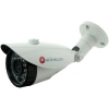 Видеокамера IP ActiveCam AC-D2101IR3 2.8-2.8мм цветная корп.:белый (AC-D2101IR3 (2.8 MM))