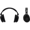 Наушники Panasonic RP-HC800E-K <Black> (с активным  шумоподавлением, 1xAAA)