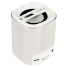 Портативный аудиопроигрыватель Texet TPA-2171 Silver [AUX, USB, microSD, Bluetooth]
