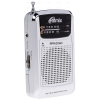 Радиоприёмник Ritmix RPR 2060 silver