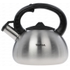Чайник Tefal C7921024 [2,5л, для газовых, электро и керамических плит, нерж. сталь, свисток]