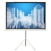 Экран Cactus 104.4x186см Triscreen CS-PST-104x186 16:9 напольный рулонный белый