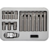 Набор бит ЗУБР 2651-H15_z01 [специальные в пластиковом боксе, TORX, 15 предметов]