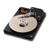 HDD 30 GB IDE MAXTOR DIAMONDMAX PLUS 60 <5T030H3> UDMA100 7200RPM