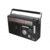 Радиоприемник Izumi NS-098U-REC [FM, AM, USB, SD, AUX, Аналоговый, Запись, Аккумулятор + Батарейки D]