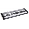 Синтезатор CASIO LK-130 [без адаптера питания]