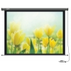 Экран Cactus 183x244см Professional Motoscreen CS-PSPM-183x244 4:3 настенно-потолочный рулонный (моторизованный привод)