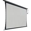 Экран Cactus 183x244см Professional Tension Motoscreen CS-PSPMT-183x244 4:3 настенно-потолочный рулонный (моторизованный привод)