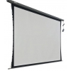 Экран Cactus 206x274см Professional Tension Motoscreen CS-PSPMT-206x274 4:3 настенно-потолочный рулонный (моторизованный привод)