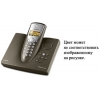 Р/телефон+А/Отв  Siemens Gigaset C345 <Graphite> (трубка с ЖК диспл.,База) стандарт-DECT, РО, ГТ