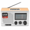 Радиоприемник БЗРП РП-309 [FM, AM, USB, SD]