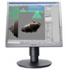 17"    MONITOR SONY SDM-S74ES <Silver> (LCD, 1280x1024, +DVI)