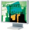 21.3" MONITOR NEC 2180UX (LCD, 1600x1200, DVI-I, DVD-D)