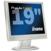 19"    MONITOR  IIYAMA ProLite E485S-W (LCD, 1280x1024, +DVI)