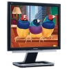 19"    MONITOR Viewsonic VX910 (LCD, 1280x1024, +DVI)