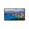 Панель LG 84" 84WS70BD черный IPS LED 12ms 16:9 DVI HDMI M/M матовая 1400:1 350cd 178гр/178гр 3840x2160 DisplayPort USB (84WS70BD-B.ARU)