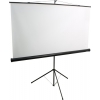 Экран на треноге Digis Kontur-С <DSKC-1102> (100", 1:1,  180x180см, Matte White)