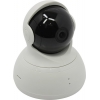 YI <YHS.1916 White> Dome Camera (1280x720, 802.11n,  microSDHC,  мик.,  8LED)