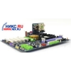 M/B GigaByte GA-K8VNXP   Socket754 <VIA K8T800> AGP+LAN+GbLAN+1394 SATA RAID U133 ATX 3DDR<PC-3200>