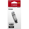 Картридж струйный Canon PGI-480 PGBK 2077C001 черный для Canon Pixma TS6140/TS8140TS/TS9140/TR7540/TR8540