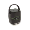 Колонки RITMIX RPB-8800LT black+green (8800 мАч,зашита IP65, 3 режима фонаря,USB) (15119245)