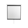 Экран настенный Digis DSOD-4303 Optimal-D, формат 4:3 (206x159) MW