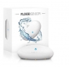 Умное домашнее устройство FIBARO 72 x 28 mm FGFS-101ZW5RU (FGFS-101 ZW5 RU)