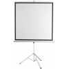 Экран 150x150см Digis Kontur-D DSKD-1103 1:1 напольный рулонный