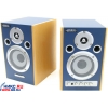 Edirol MA-10A Stereo Micro Monitor (2x10W)