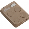 Ritmix <RF-2500-8Gb> Rose (MP3 Player, 8Gb, MicroSD,  USB2.0, Li-lon)