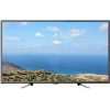 Телевизор LED Polar 48" P48L21T2C черный/FULL HD/50Hz/DVB-T/DVB-T2/DVB-C/USB (RUS)
