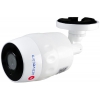 Видеокамера IP ActiveCam AC-D2111IR3W 3.6-3.6мм цветная корп.:белый (AC-D2111IR3W (3.6 MM))