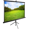Экран Cactus 150x200см TriExpert CS-PSTE-200х150-BK 4:3 напольный рулонный (CS-PSTE-200Х150-BK)